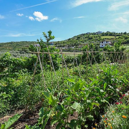 Villa Xherimeja Family Oasis Berat Dış mekan fotoğraf
